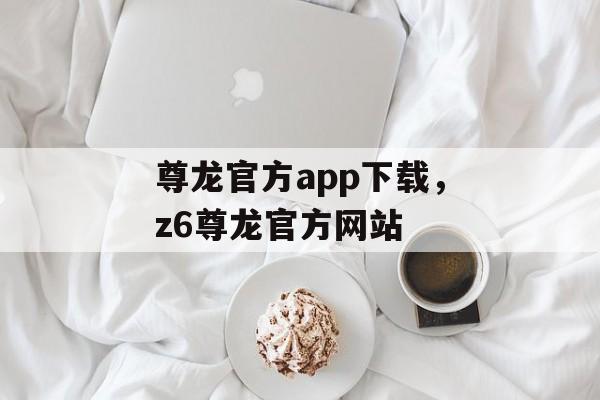 尊龙官方app下载，z6尊龙官方网站